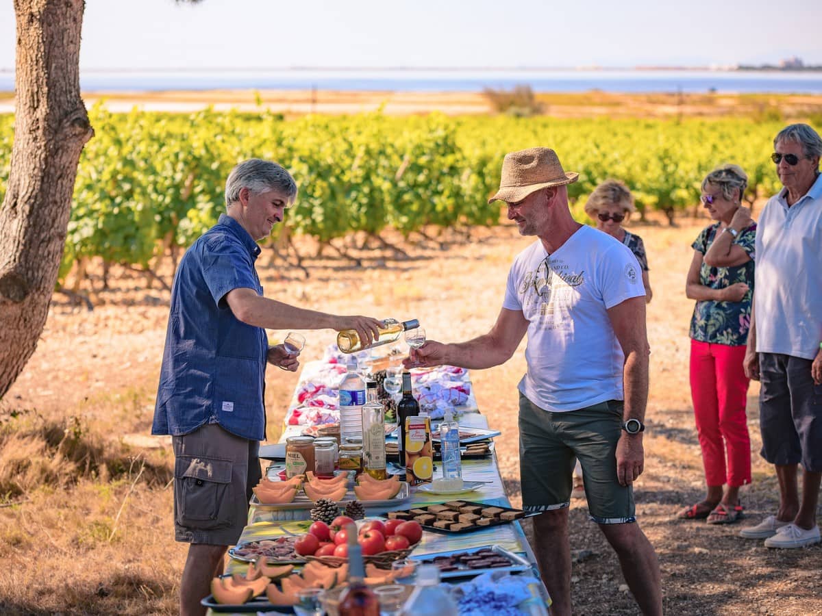 Illustration de l'événement : BALADE VIGNERONNE