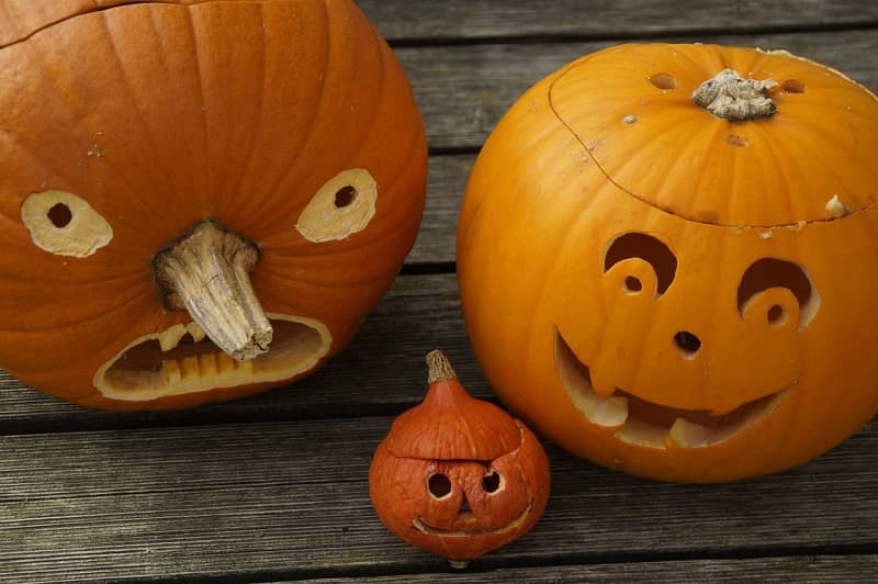 Illustration de l'événement : CONCOURS DE CITROUILLES DÉCORÉES