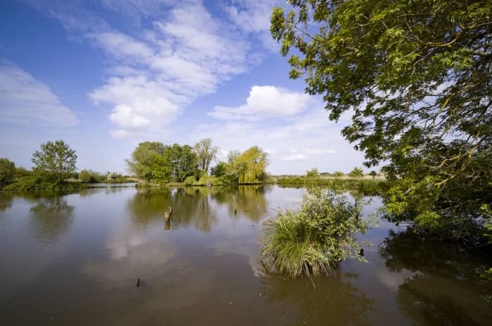 Illustration de l'événement : Marais & Réserve : visite du marais maraîcher et de la réserve naturelle des étangs du Romelaere.