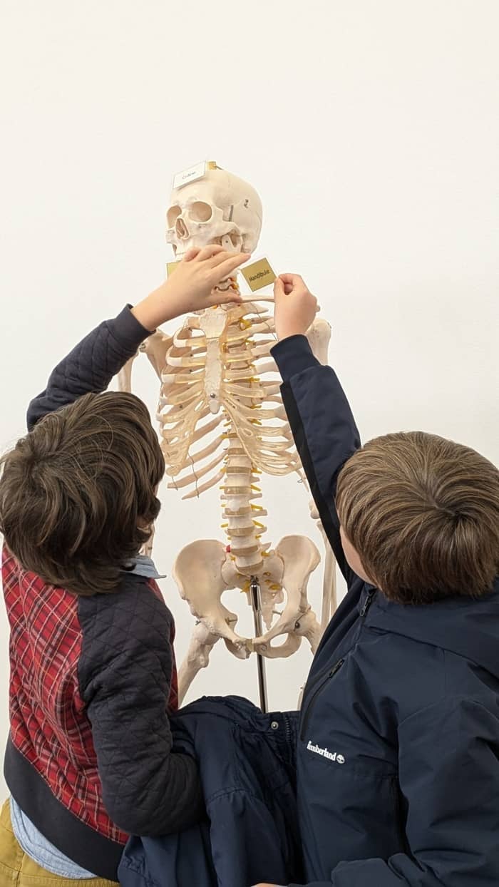 Illustration de l'événement : Atelier faire parler les morts, l’archéo-anthropologie aux Archives de Nantes