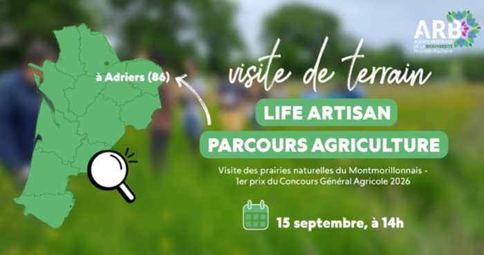 Illustration de l'événement : Visite de terrain Life Artisan - le 15/09 à Adriers (près de Montmorillon).