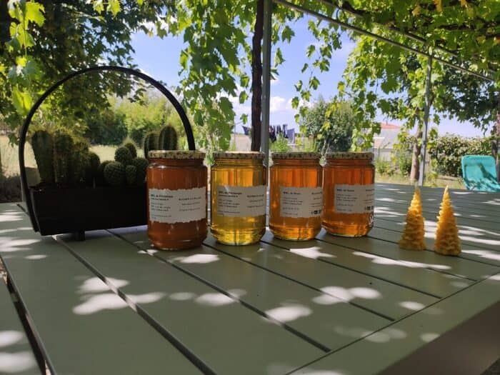 Illustration de l'événement : Api’Week au Rucher du Pillier