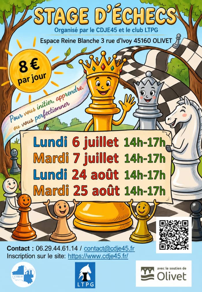 Illustration de l'événement : Stages d'échecs vacances d'été