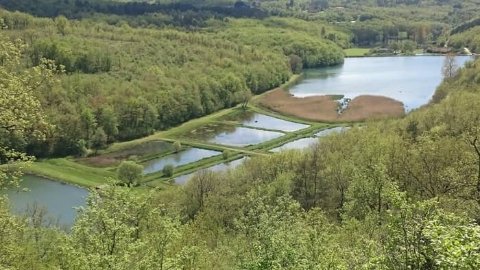 Illustration de l'événement : À la découverte de la biodiversité des étangs de Valojoulx
