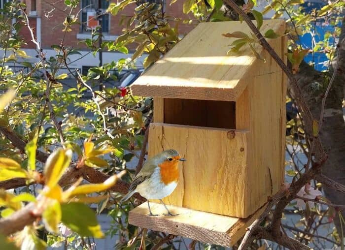 Illustration de l'événement : Fabriquez votre nichoir à oiseaux en duo Parent-enfant