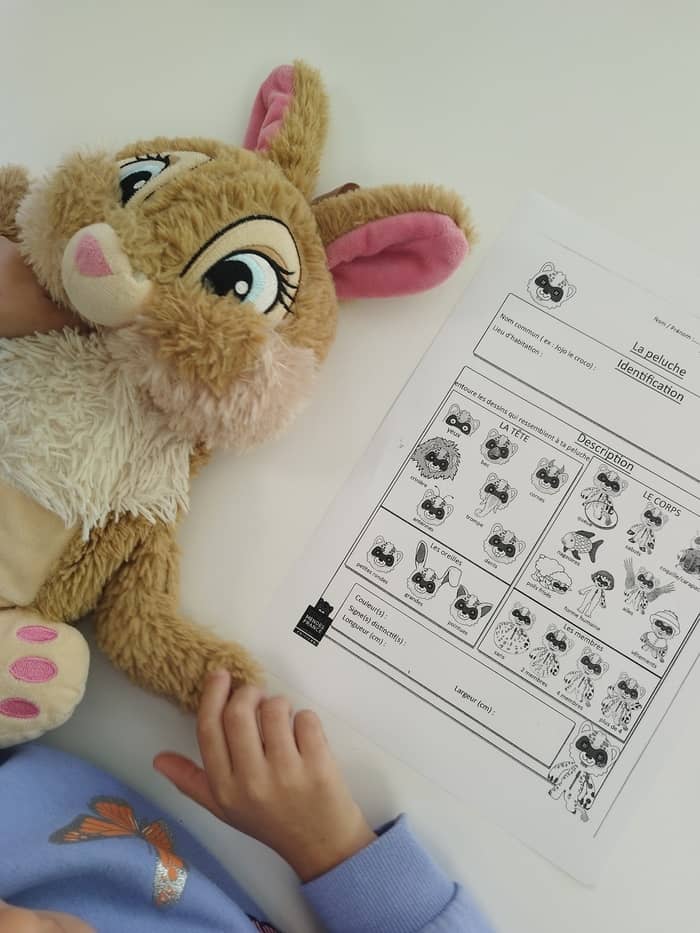 Illustration de l'événement : Peluchologie - Qui es-tu, mon doudou ?