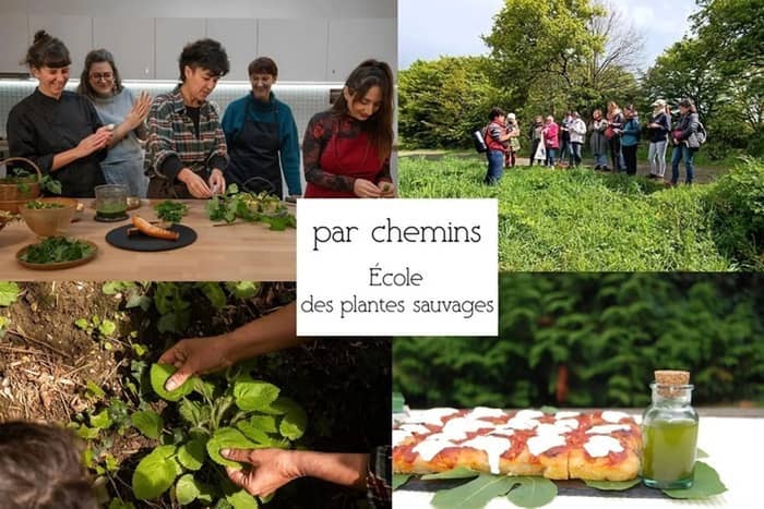Illustration de l'événement : Journée immersive : Gastronomie des plantes sauvages comestibles