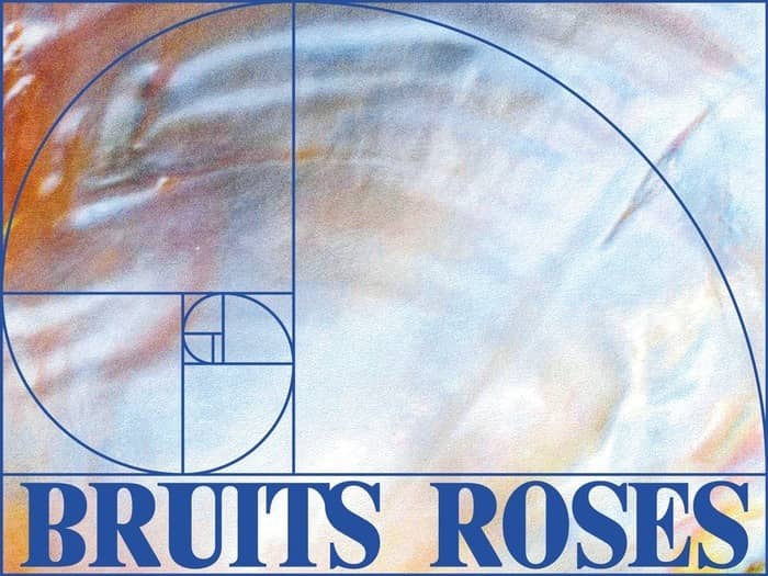 Illustration de l'événement : Bruits Roses / الضوضاء الوردية / Ροζ Θόρυβοι / Ruidos Rosas édition multilingue