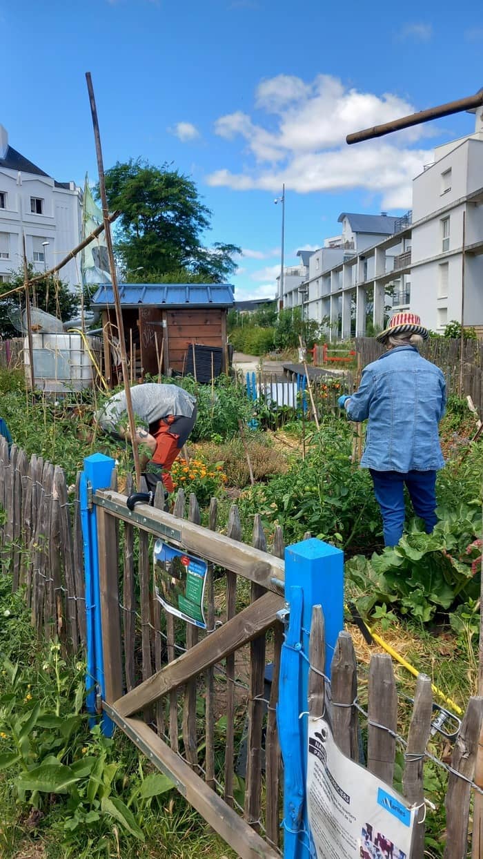 Illustration de l'événement : permanence jardinage potager paysage nourricier Prairie d'amont