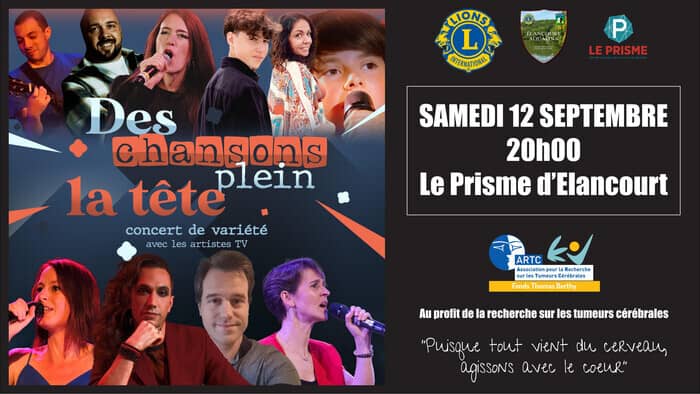 Illustration de l'événement : DES CHANSONS PLEIN LA TETE