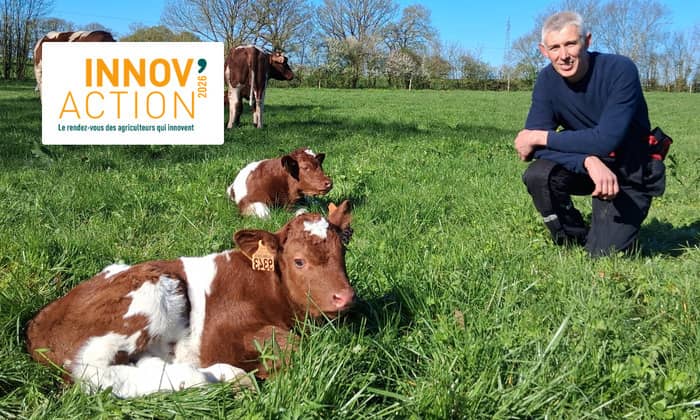 Illustration de l'événement : INNOV'ACTION - Journée viande bovine (53)