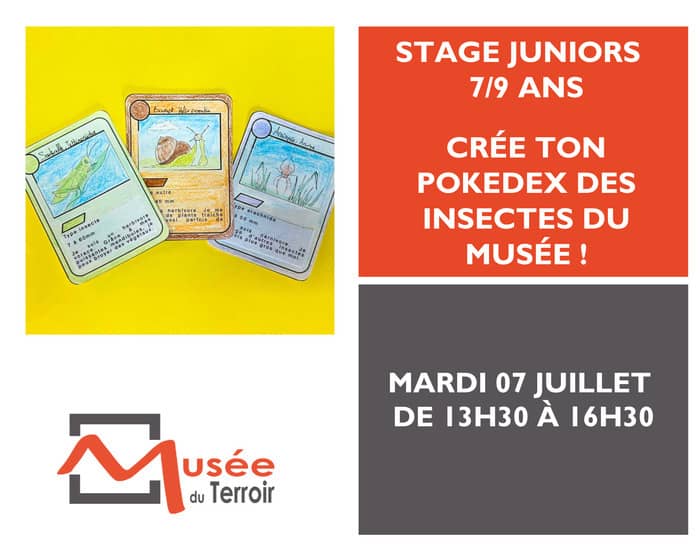 Illustration de l'événement : [COMPLET] Stage Junior 7/9 ans : crée ton Pokedex des insectes du musée !