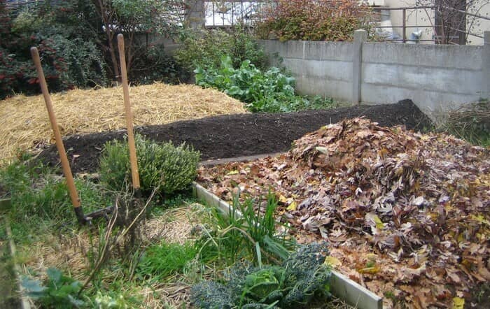 Illustration de l'événement : Jardinons ! Comprendre les grands principes de la permaculture