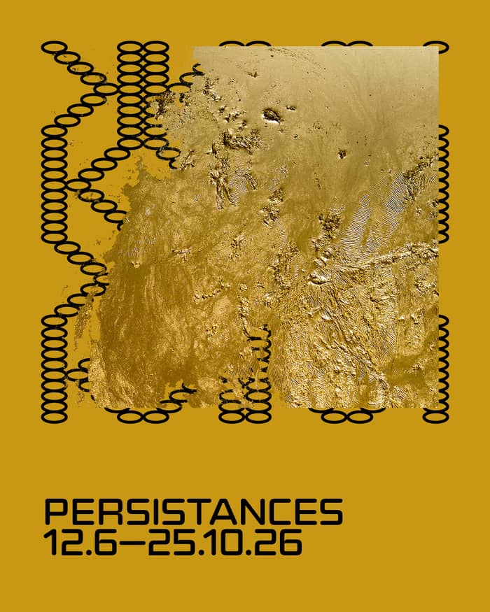 Illustration de l'événement : Visite commentée - exposition "Persistances"