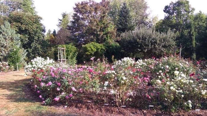 Illustration de l'événement : Découverte de l'arboretum Les Feuilles Fleuries de Saint-Eloi