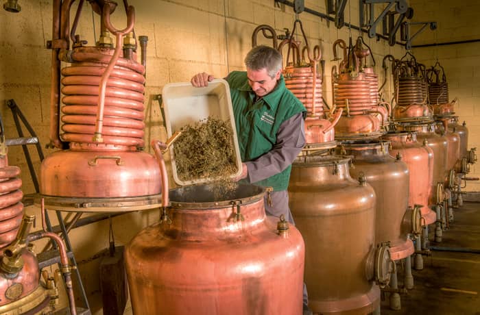 Illustration de l'événement : Visite guidée de la Distillerie - Verveine du Velay Pagès