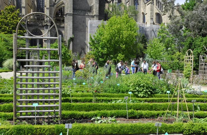 Illustration de l'événement : Balade dans les jardins de l'Évêché