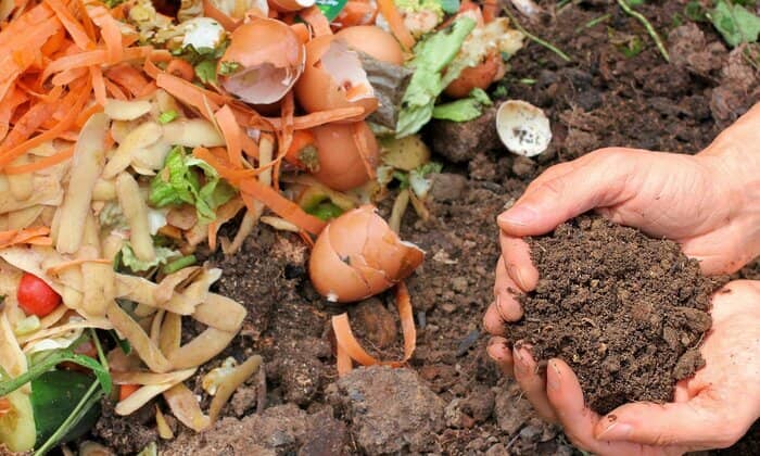 Illustration de l'événement : Atelier : Réussir ses composts