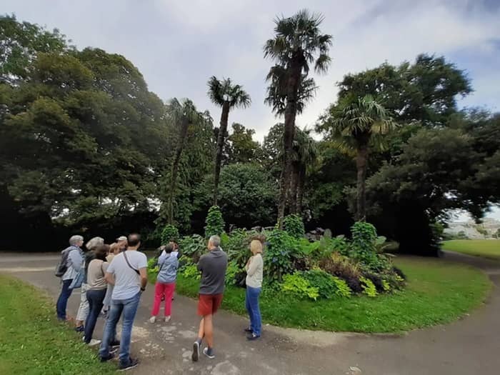 Illustration de l'événement : Balade botanique du parc de la Gaudinière