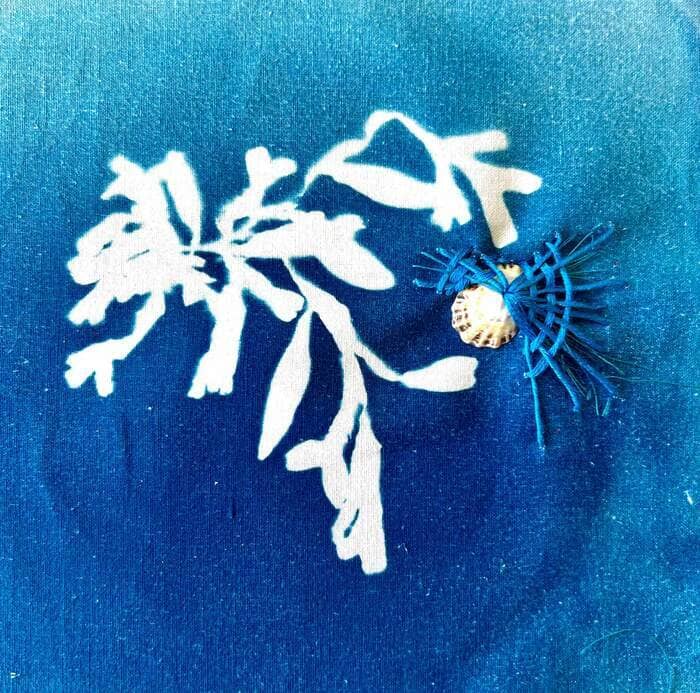 Illustration de l'événement : Broderie sur cyanotype