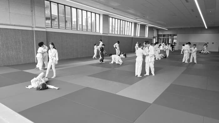 Illustration de l'événement : Portes Ouvertes École de Judo & JJB (6-10 ans) au Jamet Sporting Club
