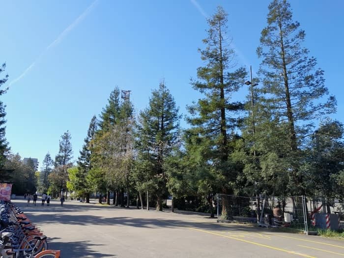 Illustration de l'événement : Découvrez les arbres du parc des chantiers
