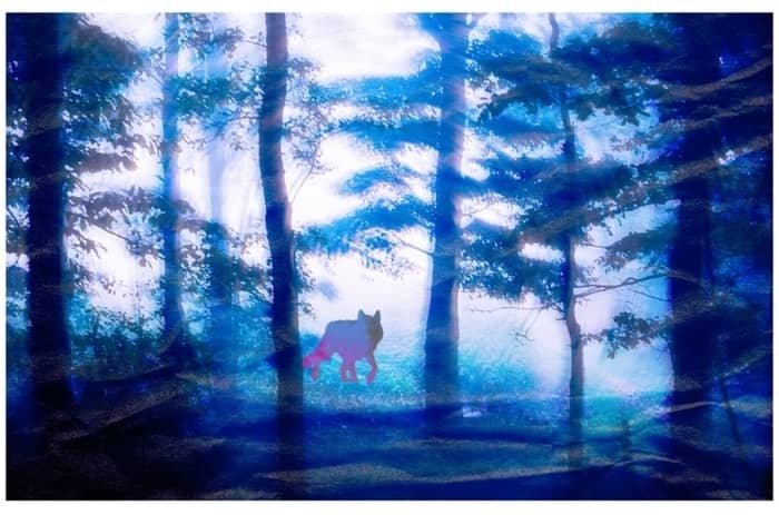 Illustration de l'événement : Se souvenir des loups