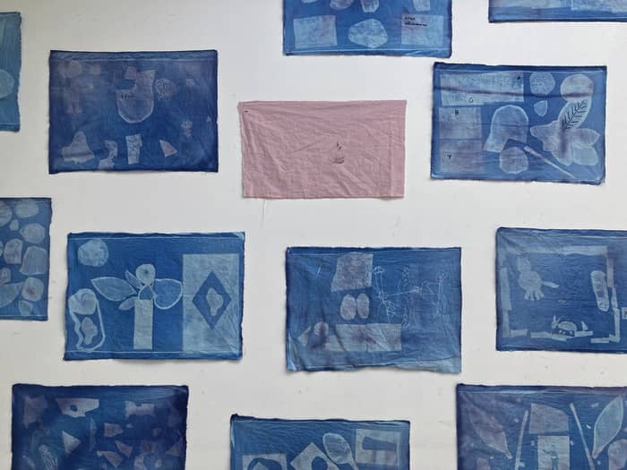 Illustration de l'événement : Atelier cyanotype