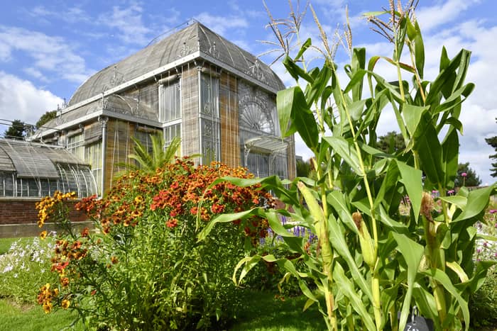 Illustration de l'événement : Découverte du Jardin des Plantes