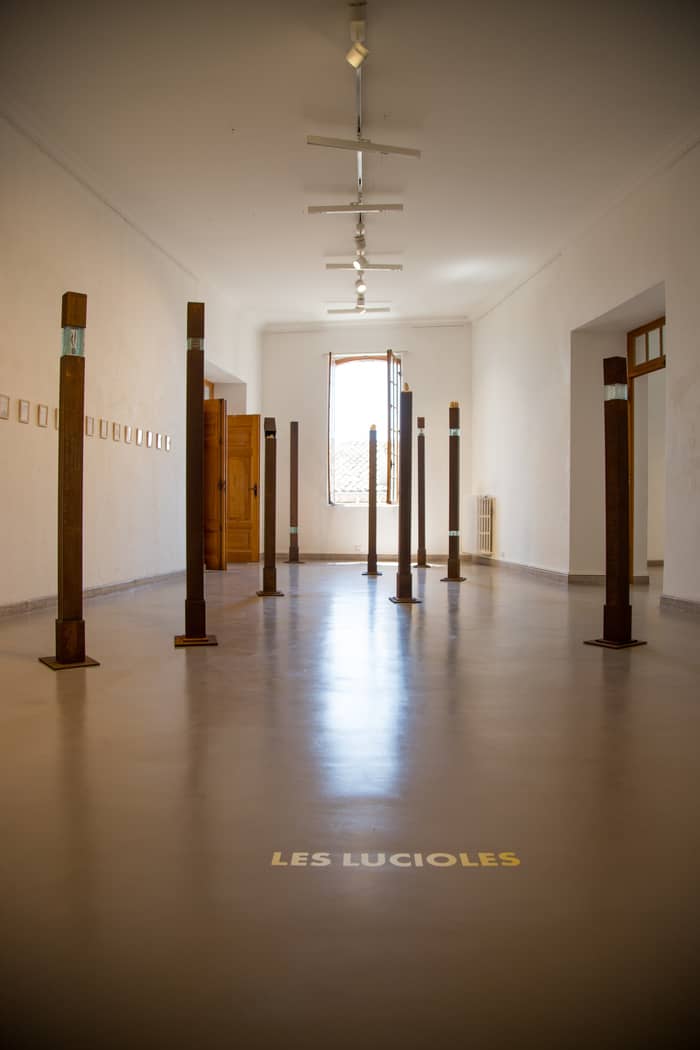 Illustration de l'événement : Visite guidée de l'exposition "Les Lucioles"