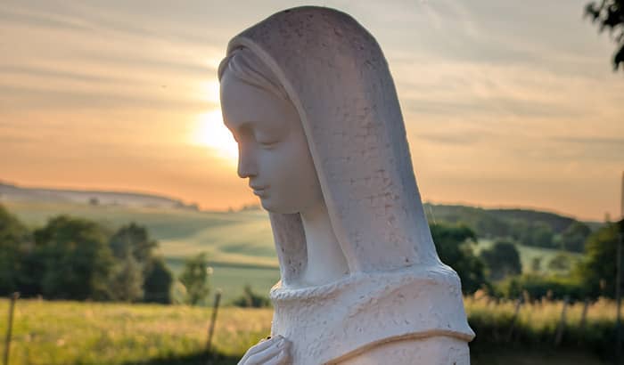 Illustration de l'événement : Halte biblique