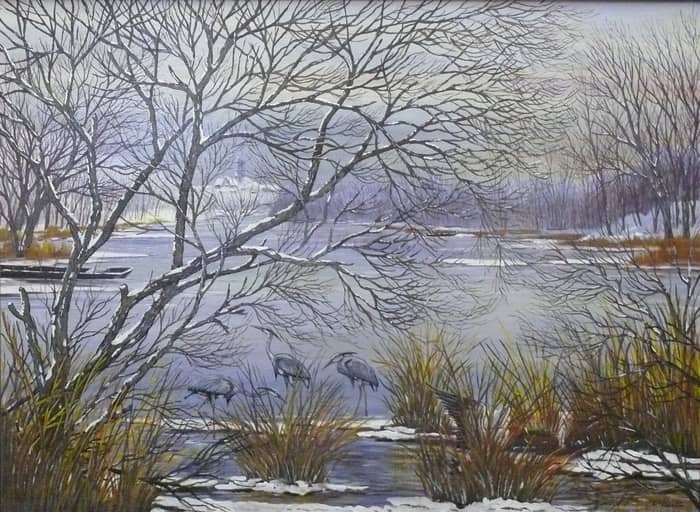 Illustration de l'événement : Animusée-vous : les arts, les animaux et les hommes