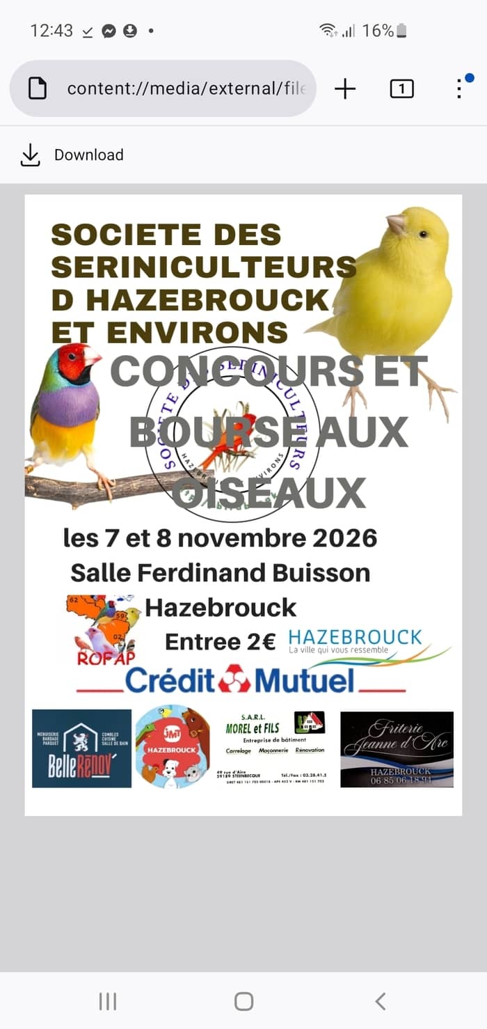 Illustration de l'événement : Exposition d'oiseaux