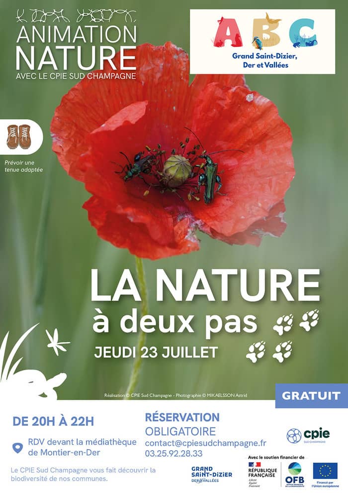 Illustration de l'événement : La nature à deux pas : animation nature
