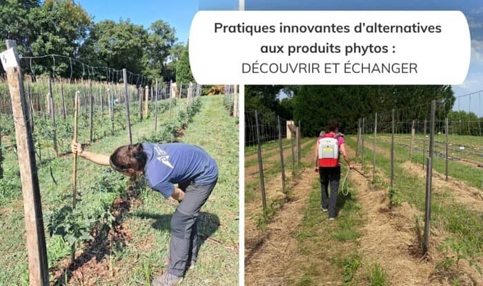 Illustration de l'événement : Pratiques innovantes d'alternatives aux produits phytos : découvrir et échanger