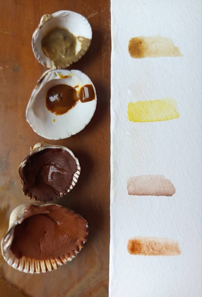 Illustration de l'événement : Atelier Fabrication d'aquarelles nature