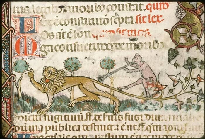 Illustration de l'événement : Présentation de documents patrimoniaux à la Bibliothèque Ceccano