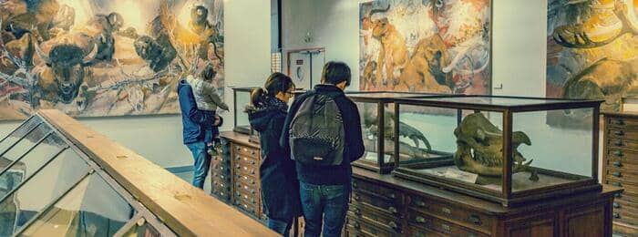 Illustration de l'événement : Visite guidée du musée de géologie