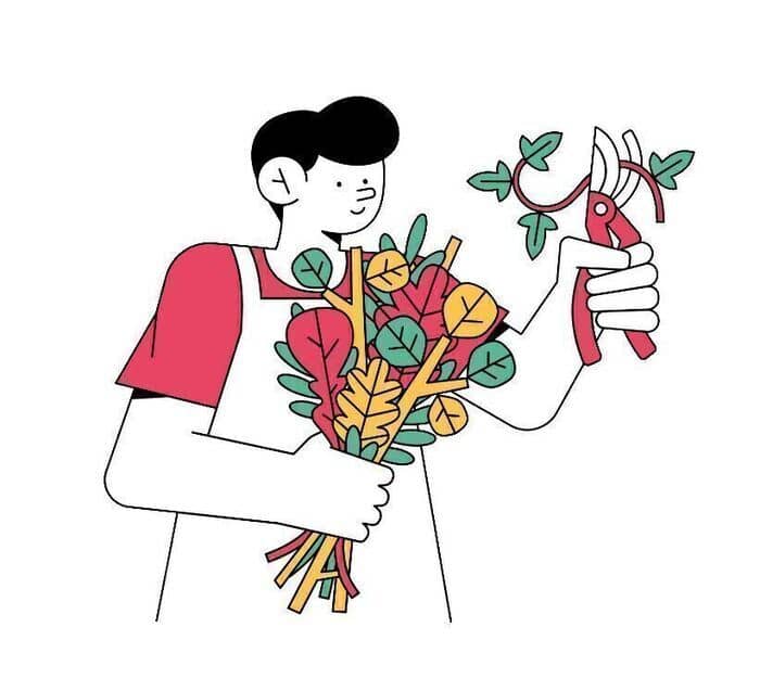 Illustration de l'événement : Formation Jardin
