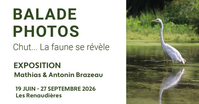 Illustration de l'événement : Balade Photos 2026
