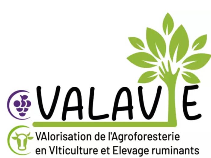 Illustration de l'événement : Journée Clôture CASDAR VALAVIE