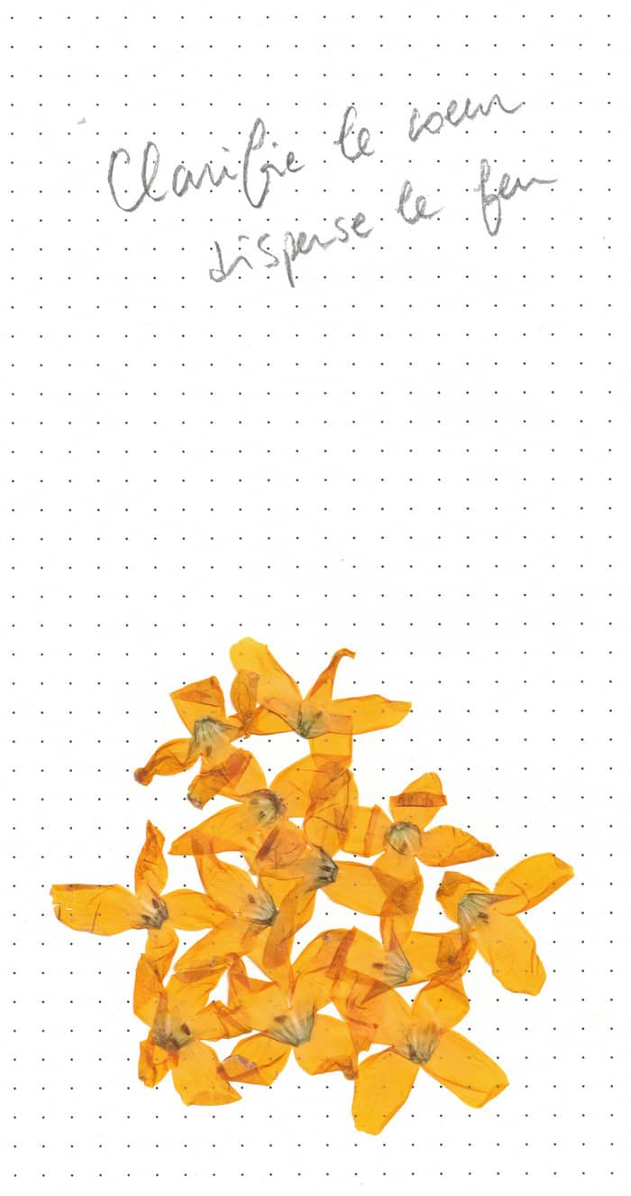 Illustration de l'événement : Exposition : "Clarifie le coeur disperse le feu" de Socheata Canto-Aing