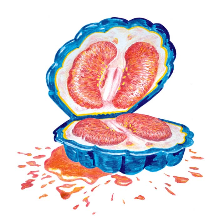 Illustration de l'événement : Je suis une sirène de la cie La Ponctuelle