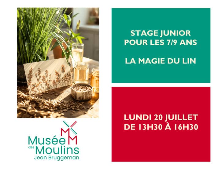 Illustration de l'événement : Stage Junior pour les 7/9 ans : La magie du lin