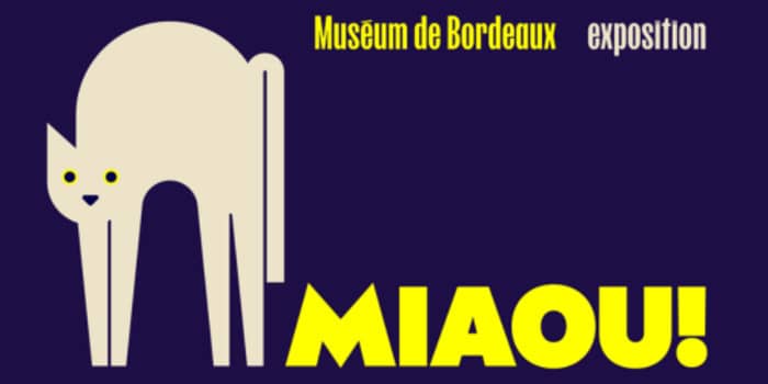 Illustration de l'événement : Exposition Miaou!