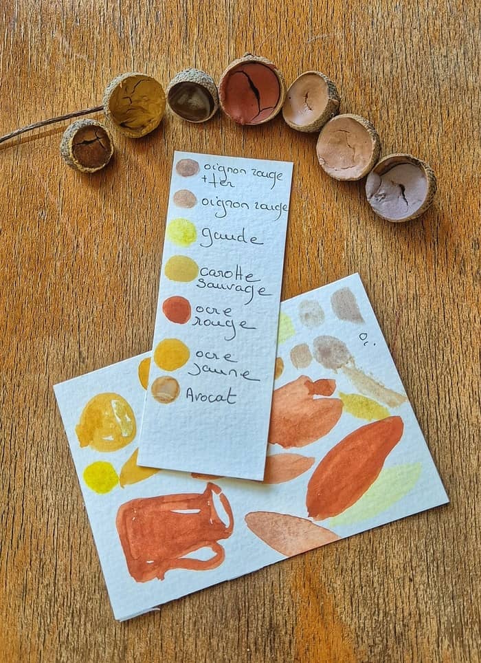 Illustration de l'événement : Réaliser ses aquarelles naturelles à partir de plantes