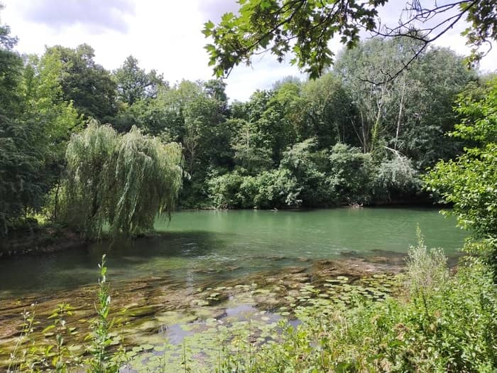 Illustration de l'événement : Du Plateau à la Marne, escapade sur les coteaux de Champigny-sur-Marne