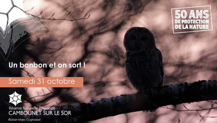 Illustration de l'événement : Un bonbon et on sort 🎃