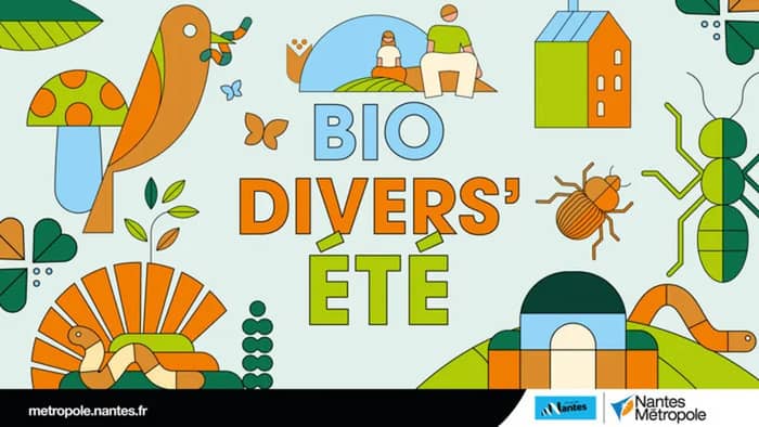 Illustration de l'événement : Biodivers’été : À l’origine des paysages, atelier archéo-botanique