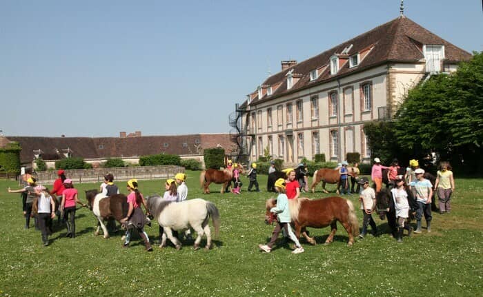 Illustration de l'événement : Poney-club des Terrasses